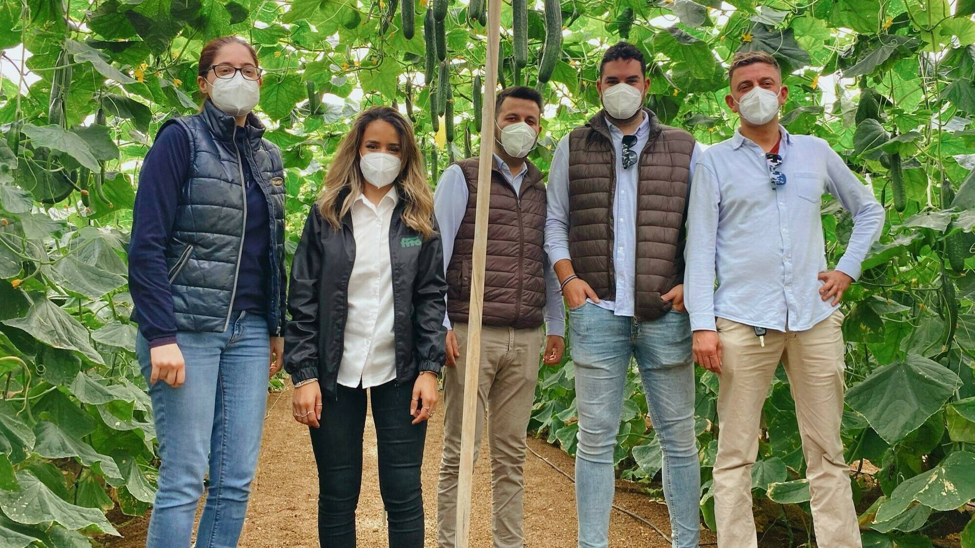 fito-variedades-horticolas|fito-pepino|WhatsApp Image 2021-02-23 at 13.36.51|EvodRJcWYAA4pZE|WhatsApp Image 2021-02-10 at 16.24.20 (2)